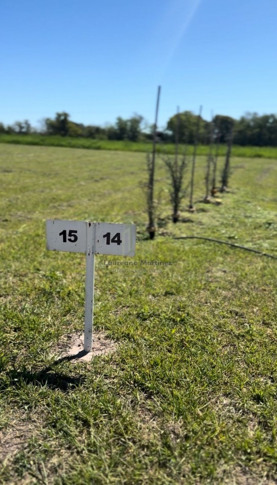 Lotes en barrio cerrado Acceso Norte Calle Borges