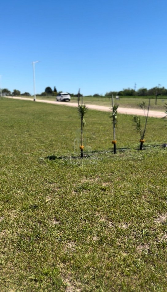 Lotes en barrio cerrado Acceso Norte Calle Borges